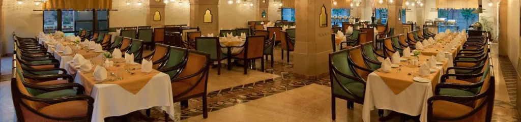 Mansingh Palace — фото 4