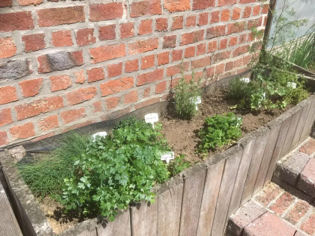 't Huizeke - фото 8