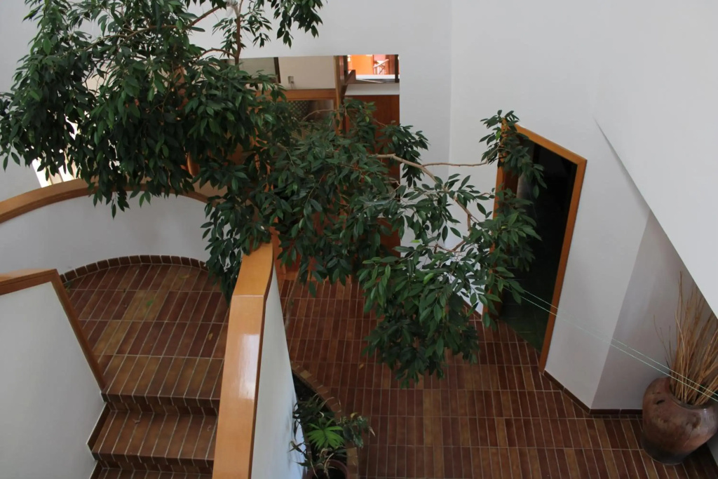 Hotel photo 28