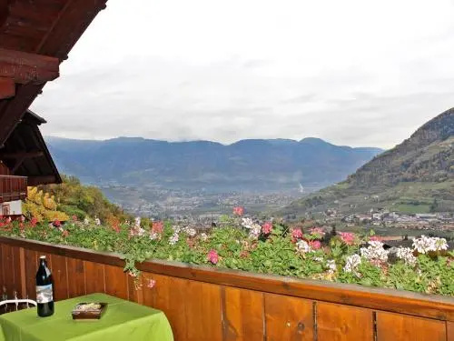 Balcony & Terrace