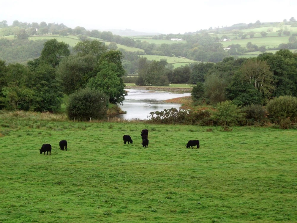 Beautiful Apartment With Jacuzzi Surrounded By The Nature Of Llandovery