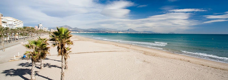Beach & Waterfront