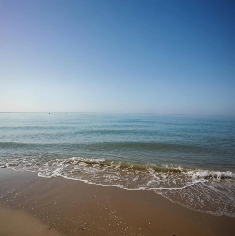 Evenia Platja Mar - Général