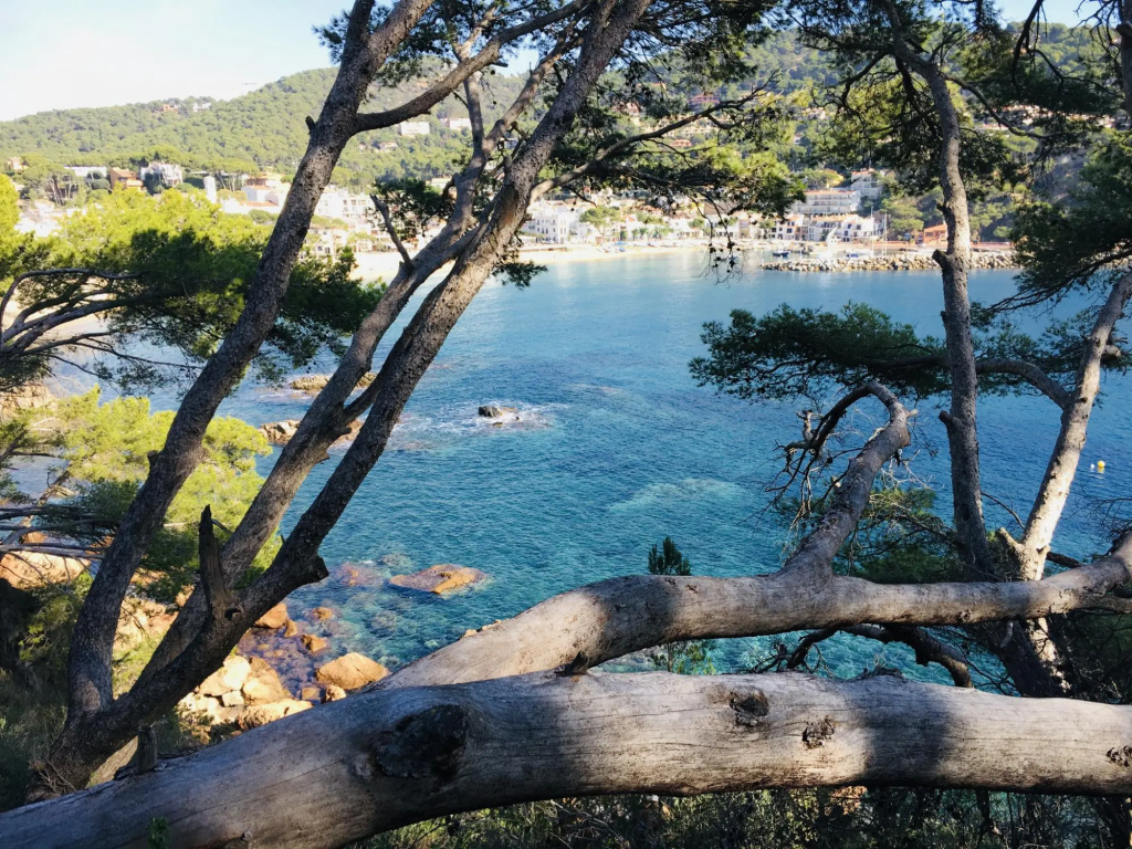 Ancora 06 in Llafranc