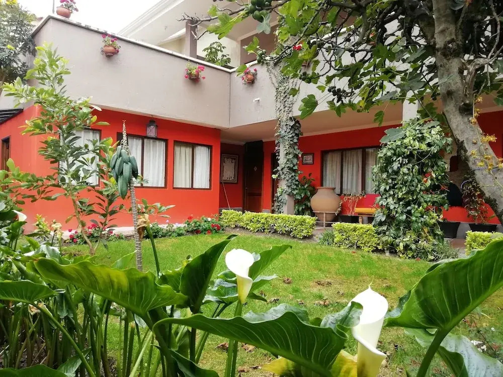 Image 12