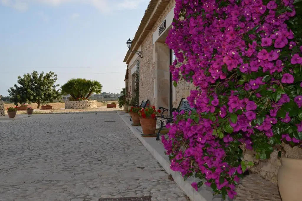 Agriturismo Masseria sul Mare - Chambres