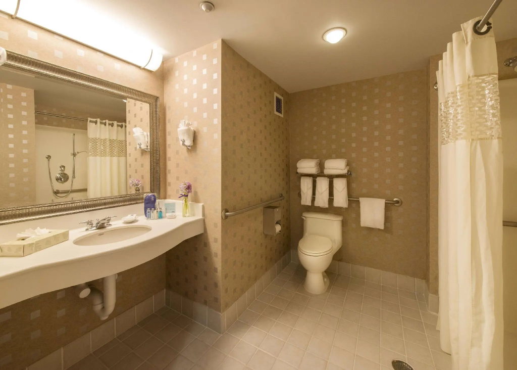 Hampton Inn & Suites Boston Crosstown Center - Chambres