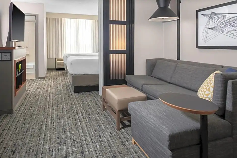 Hyatt Place Dallas/Arlington - Chambres