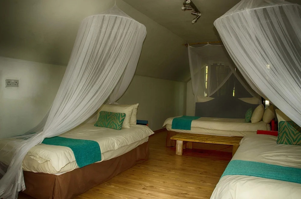 The Old House — фото 3