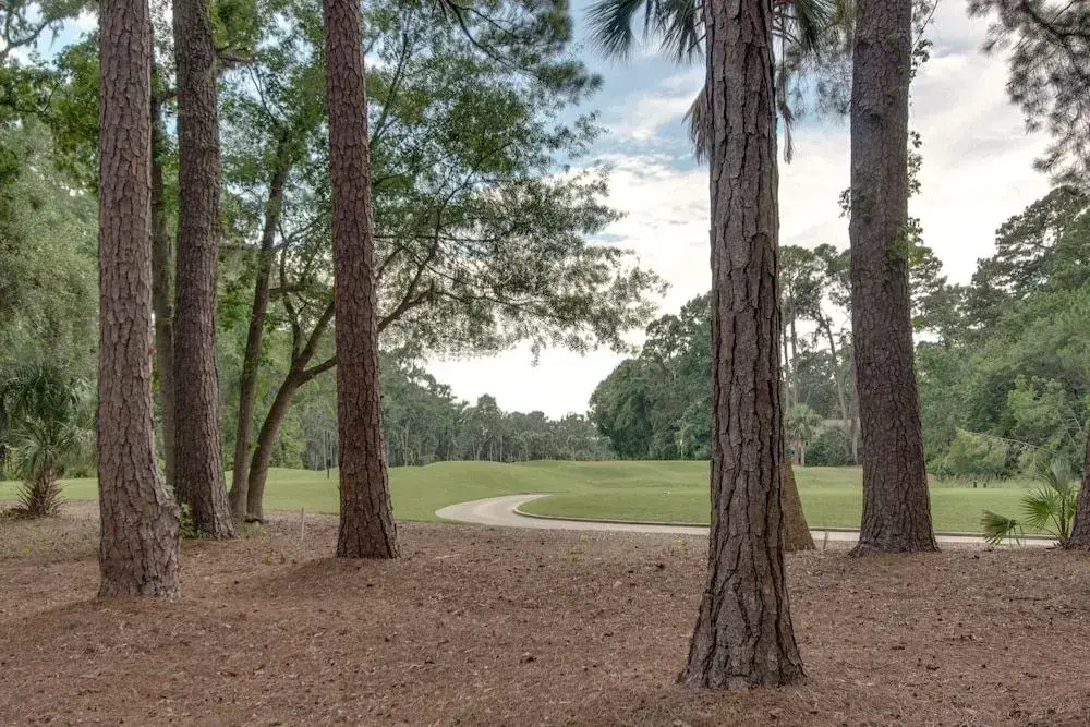 20 Tupelo Sea Pines Resort Home 3 Bedrooms 2 Bathrooms Home