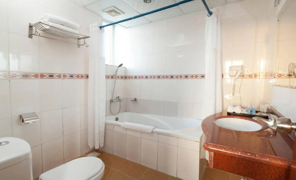 Tansoma Business Hotel - Général