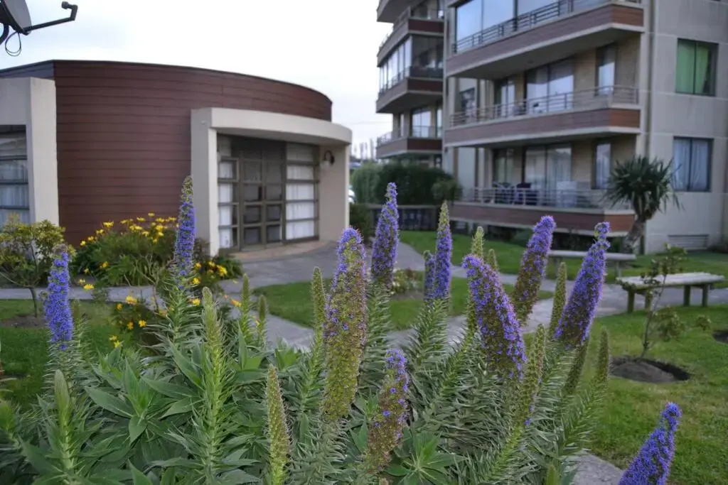 Luxury Apartment Chile, San Pedro de la Paz