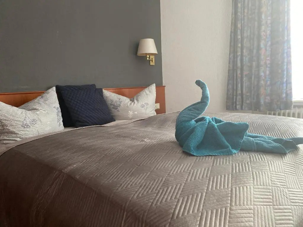 Standard Double room full double bed