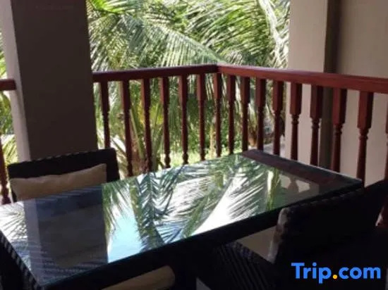 Balcony & Terrace