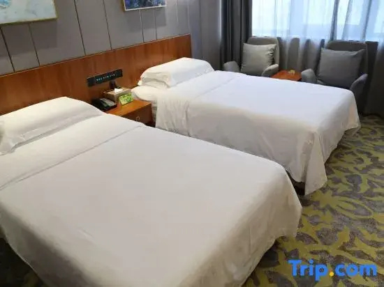 Tianyou Hotel - Chambres