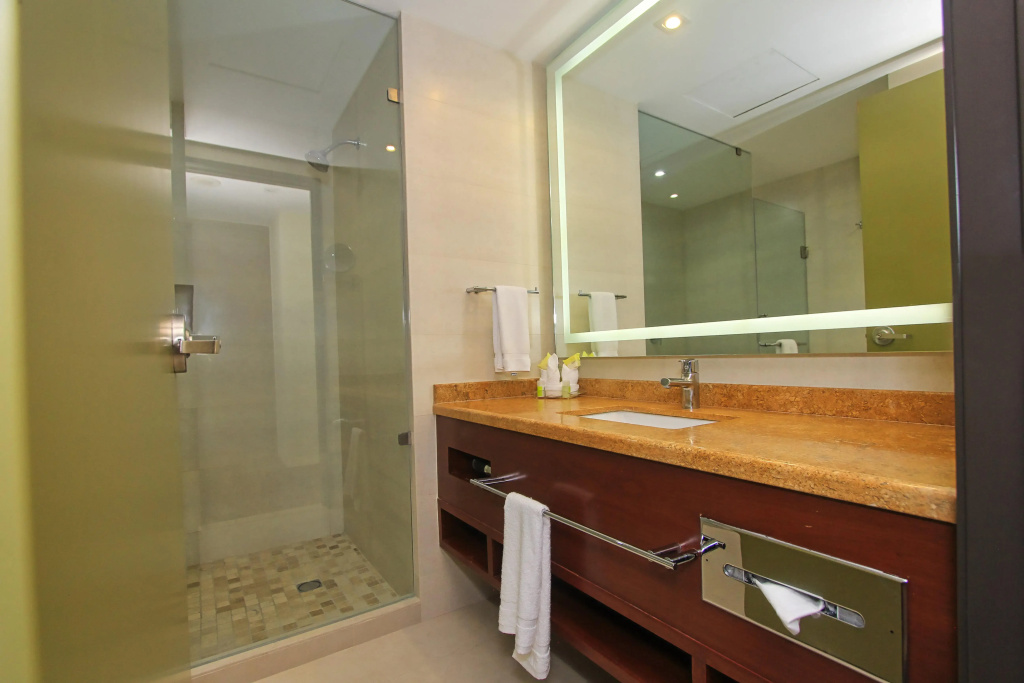 Holiday Inn Leon by IHG - Général