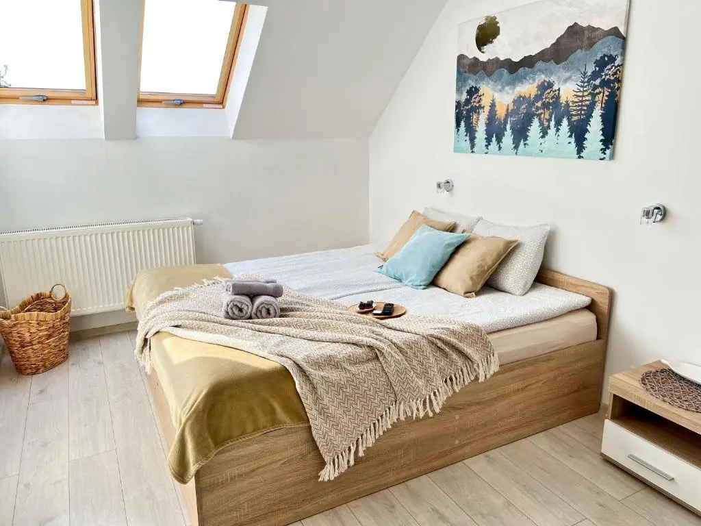 Standard Double room (full double bed)