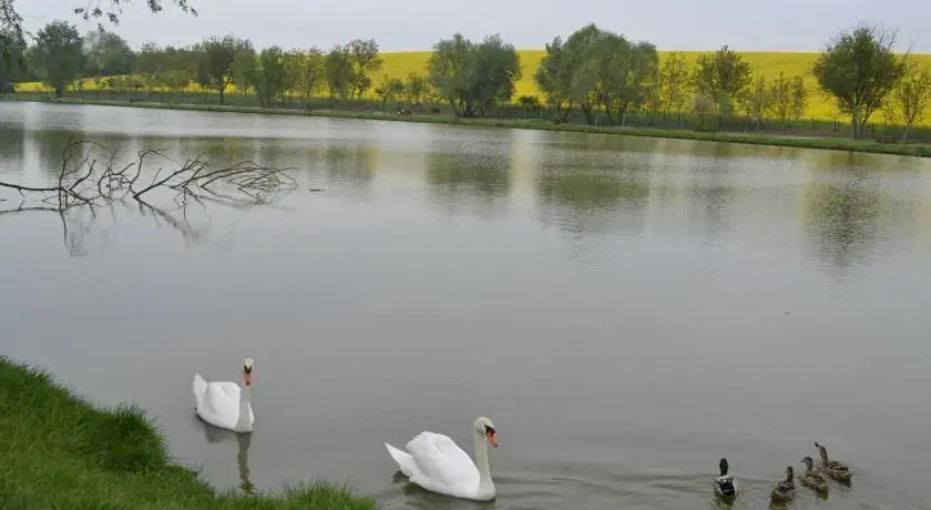 Sombereki Horgásztó - Rönkház - фото 5