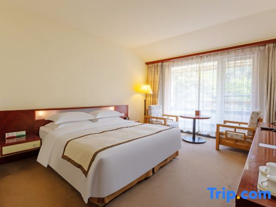 Standard Double room with balcony (full double bed)