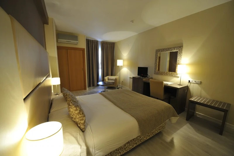 Hotel Puerta de Segovia - Chambres