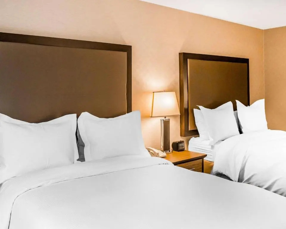 The Woodlands - Chambres