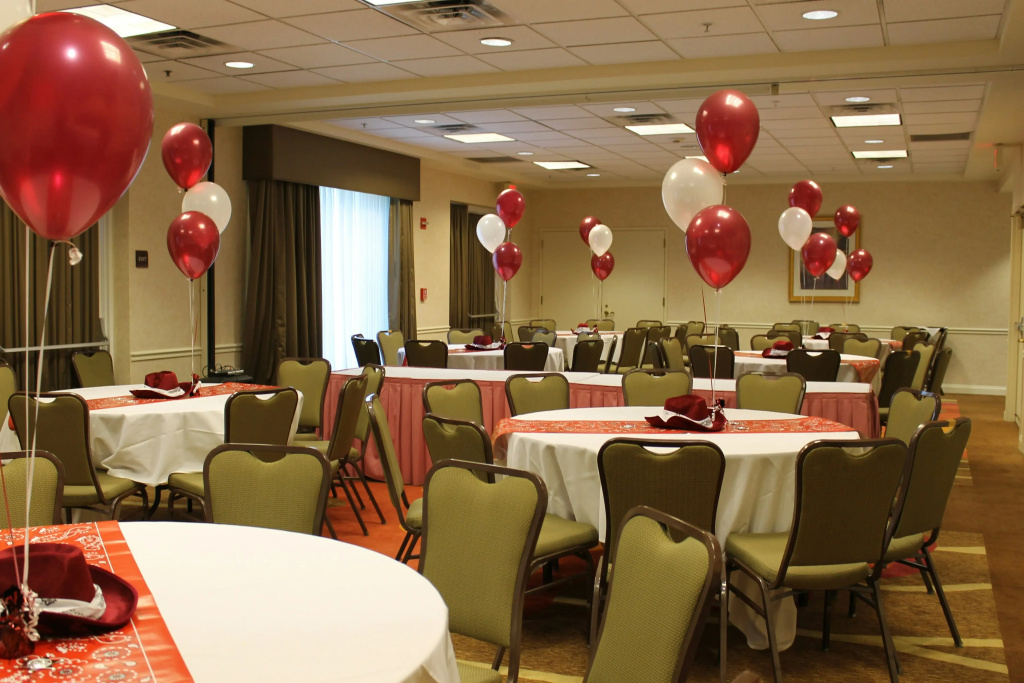 Hilton Garden Inn Addison - Général