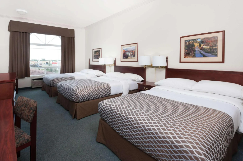 Sextuple Suite