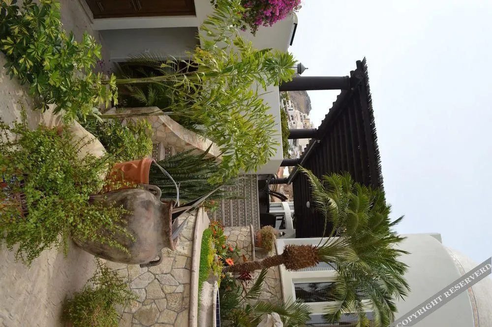 Villa Las Flores