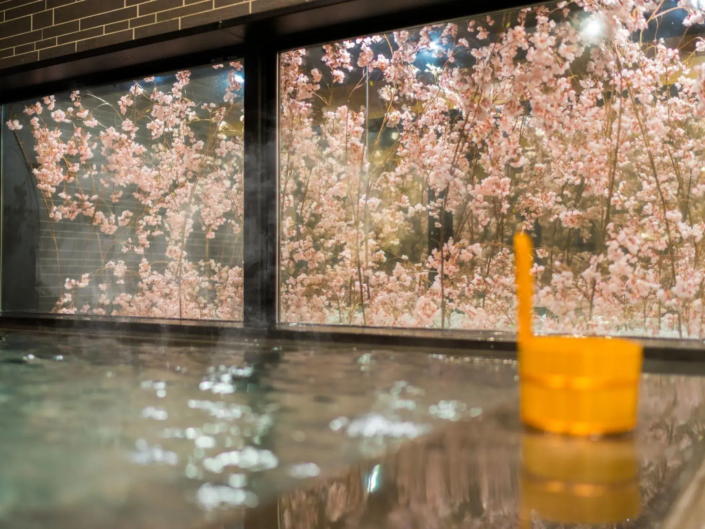 Super Hotel Lohas Ikebukuro-Eki Kitaguchi - Général
