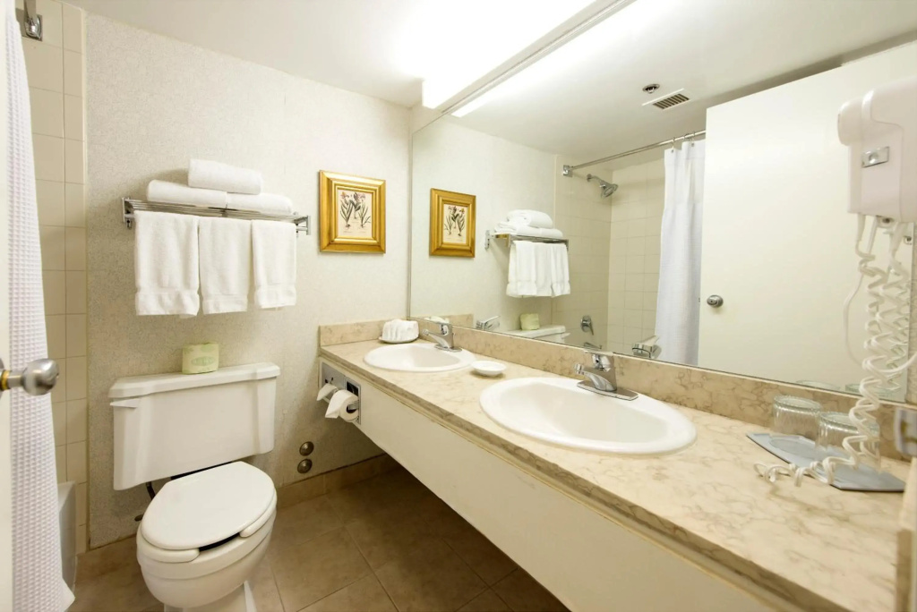 Toronto Don Valley Hotel and Suites - Général