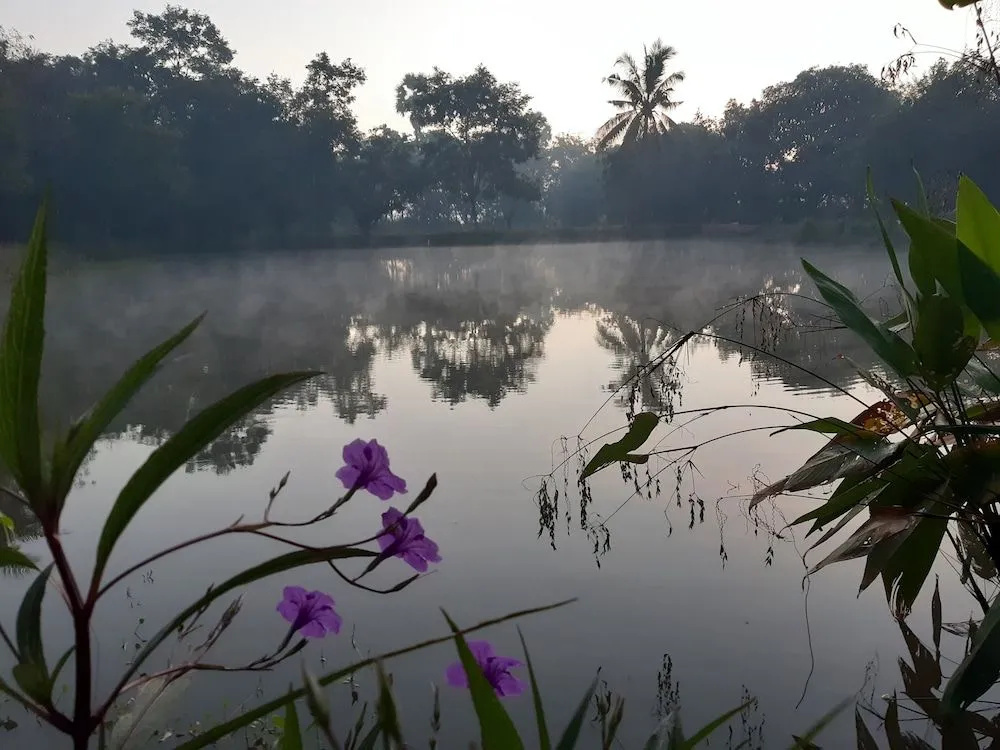 Village Homestay
