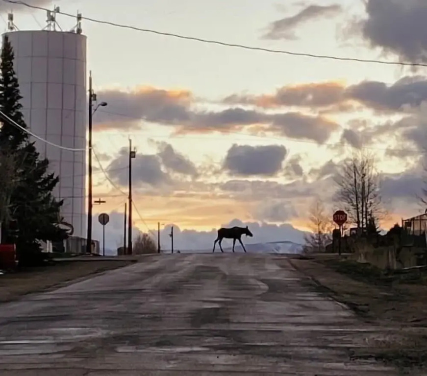 5th Street Hideout - фото 7