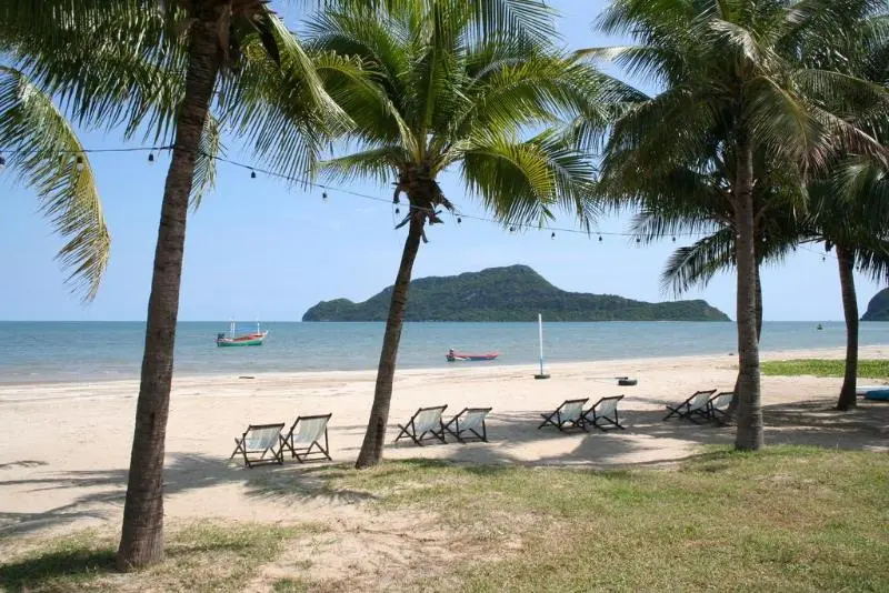 Beach & Waterfront