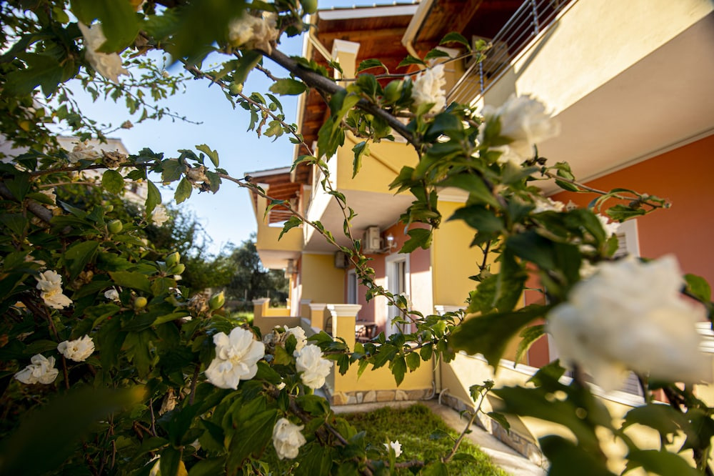 Hotel photo 26