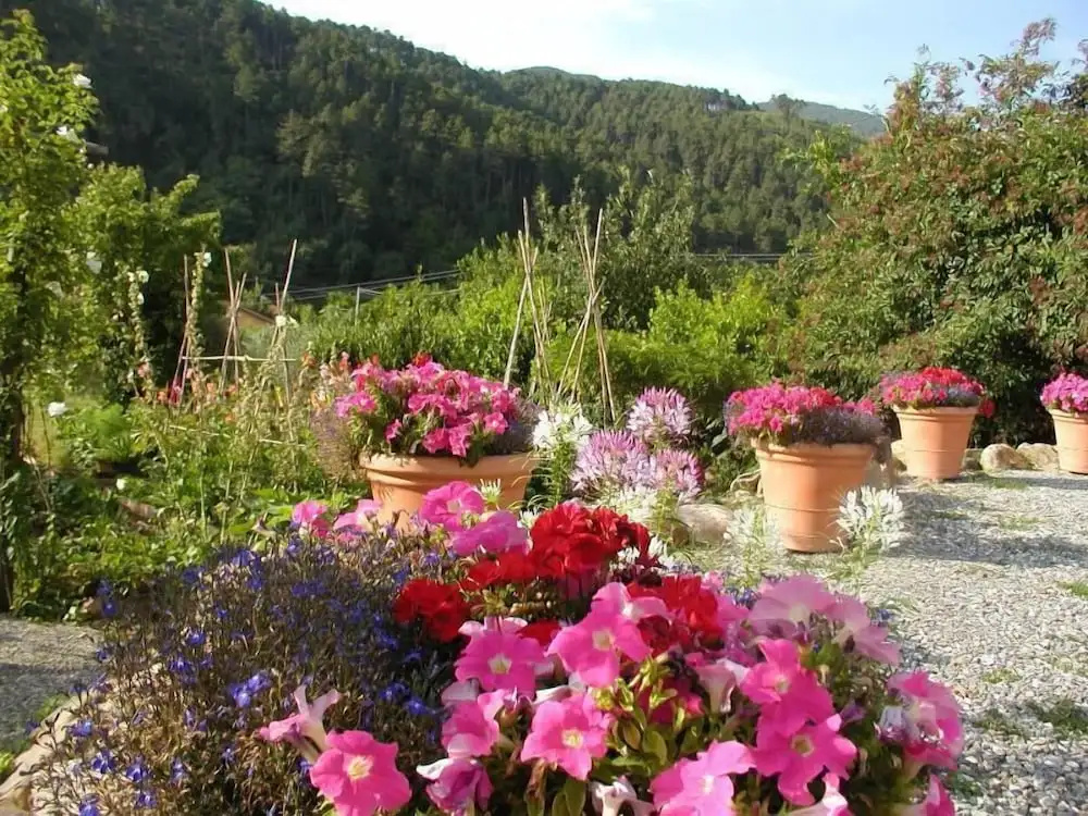 Adorable Tuscan Cottage With Beautiful Garden Just Outside Lucca, Sleeps 2