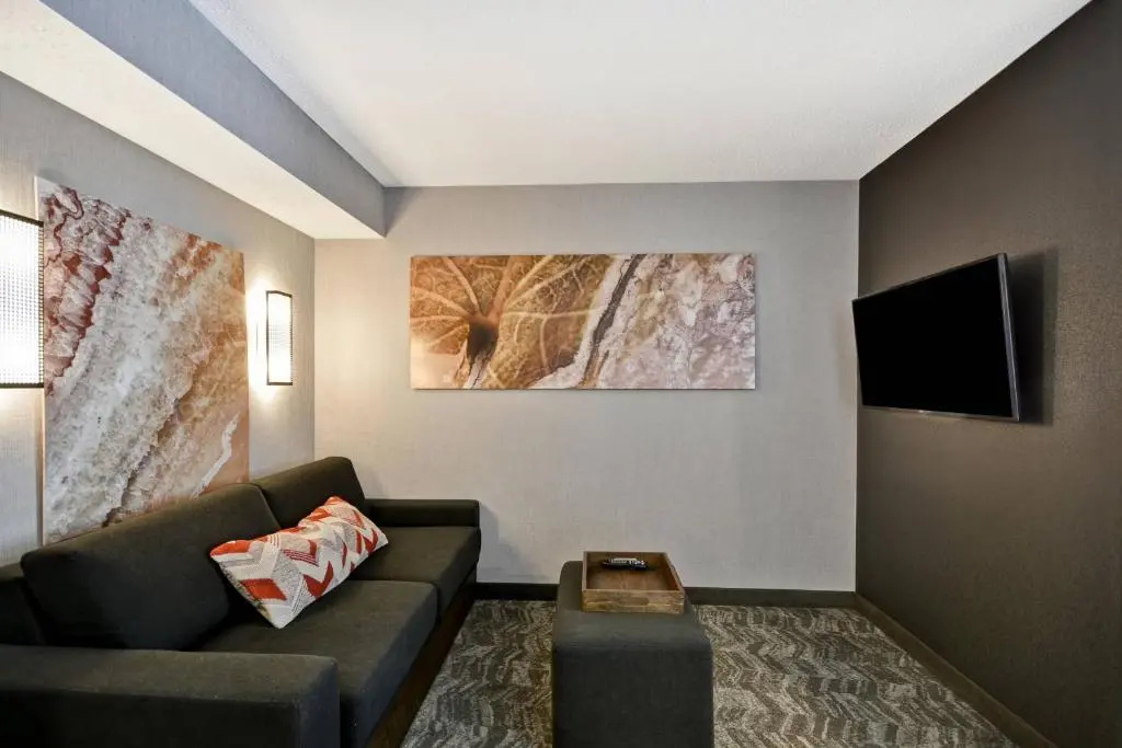 SpringHill Suites by Marriott Indianapolis Airport/Plainfield - Chambres