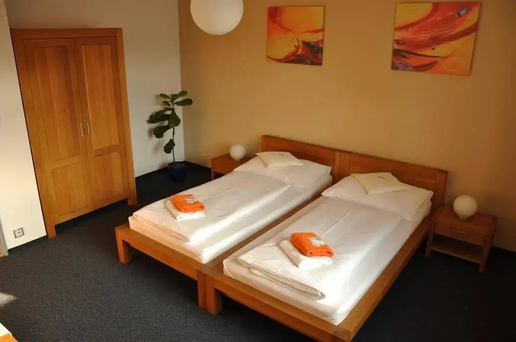 Hotel Lions Plzen - Général