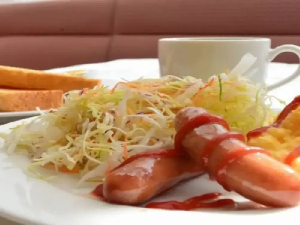 Akishima Station Hotel TOKYO - Général