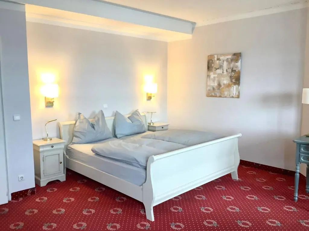 Standard Double room (full double bed)