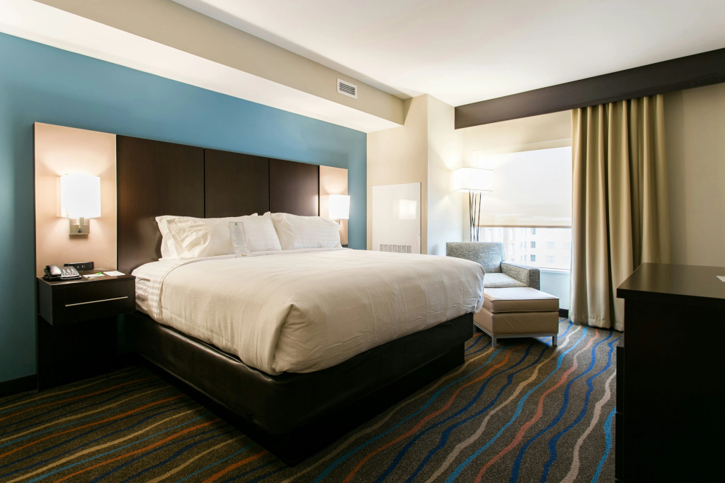 Holiday Inn Hotel & Suites Chattanooga Downtown by IHG - Général