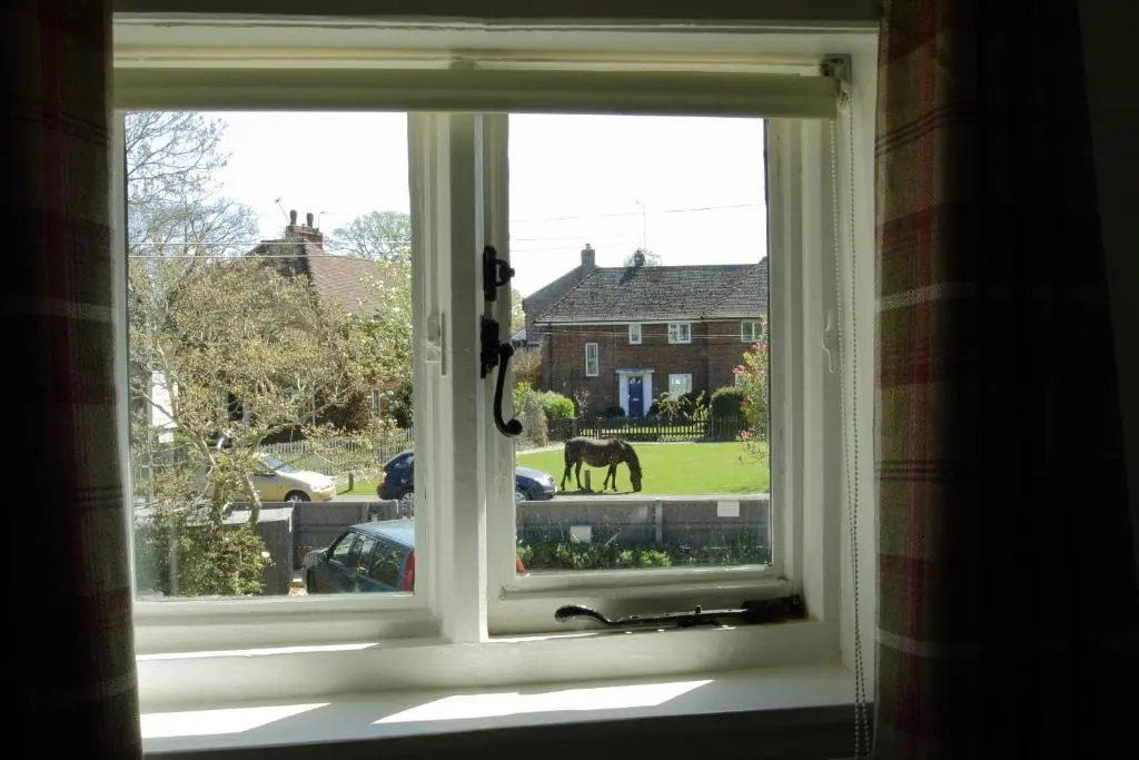 Cottage Lodge Hotel - Chambres