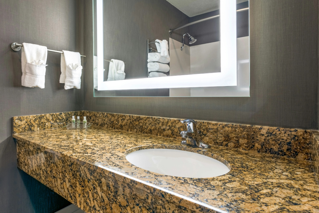 Holiday Inn Auburn by IHG - Général