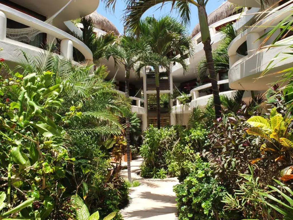 Playa Palms Beach Hotel - Général