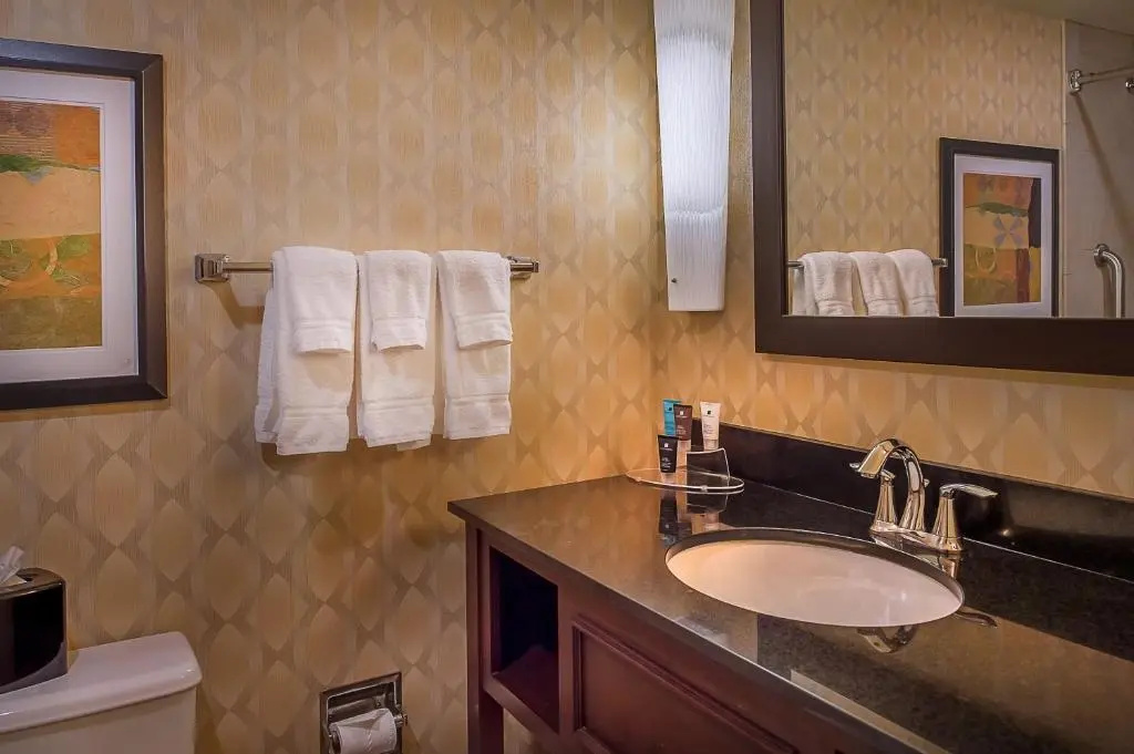 Crowne Plaza St. Louis Airport by IHG - Chambres