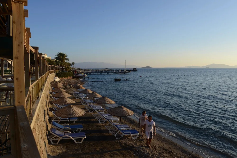 Beach & Waterfront