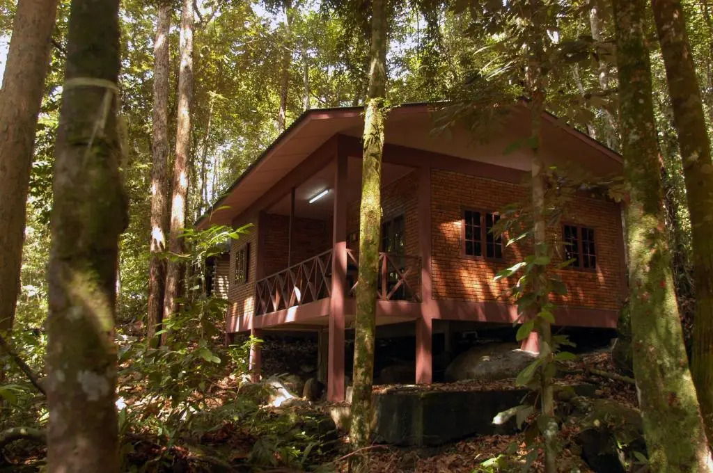Permai Rainforest Resort