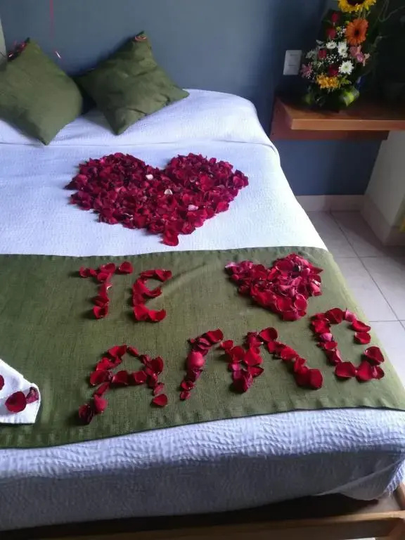 Hotel Plaza Queretaro - Chambres