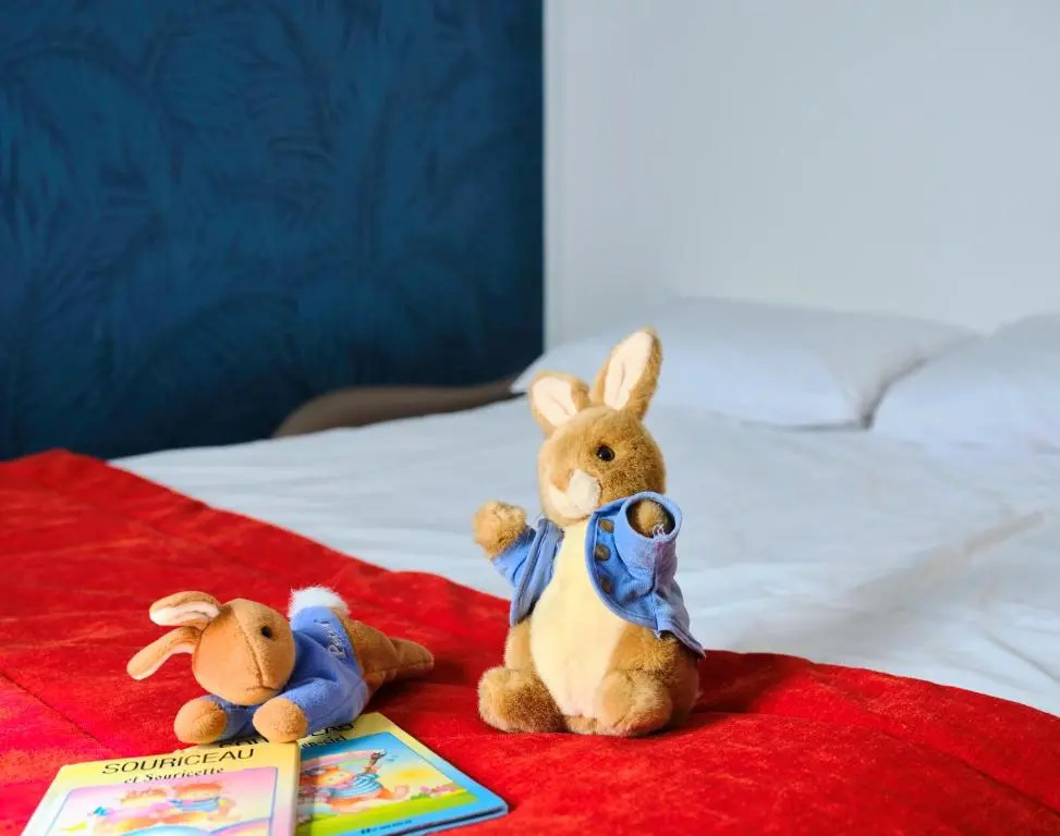 Mercure Chartres Centre Cathédrale - Chambres
