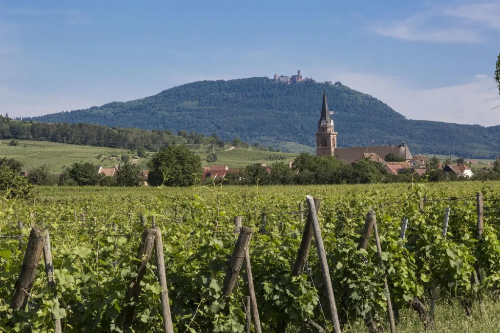 Résidence Odalys Le Domaine des Rois - Général