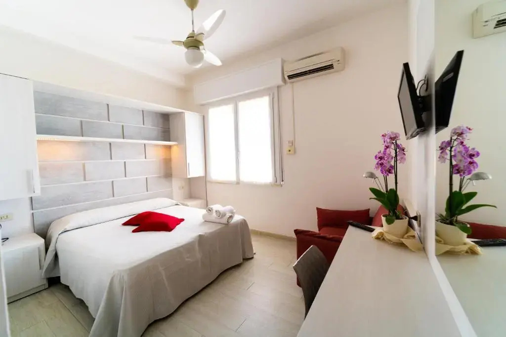 Standard Double room (full double bed)
